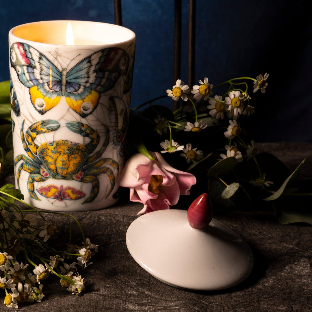 Decorative candle with butterfly and cactus design, surrounded by flowers on a dark background