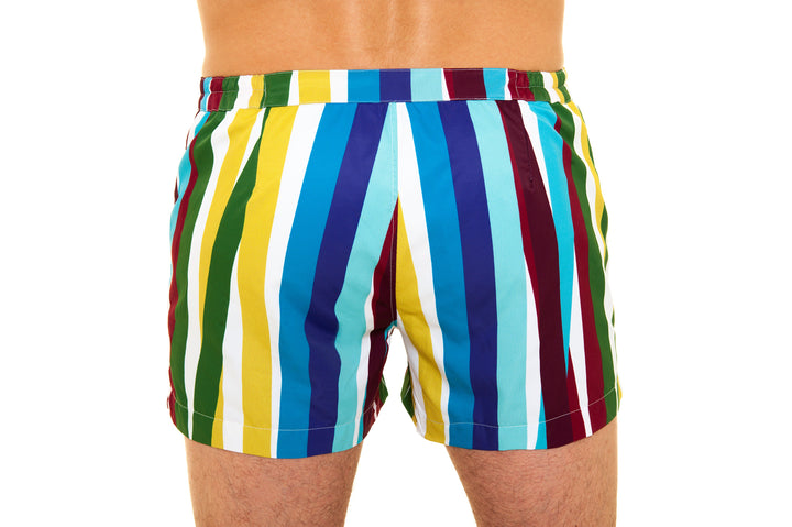 Colorful striped men's swim trunks, back view