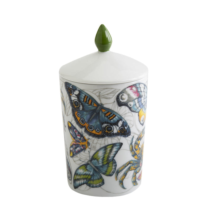 Decorative porcelain jar with intricate butterfly designs and green lid