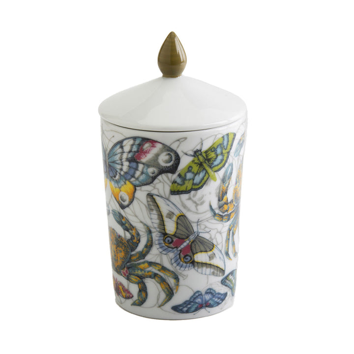 Decorative ceramic jar with colorful butterfly and insect patterns