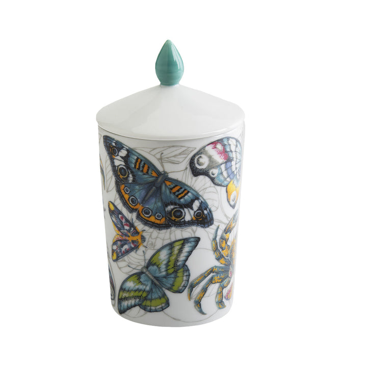 Colorful butterfly-patterned porcelain jar with a lid