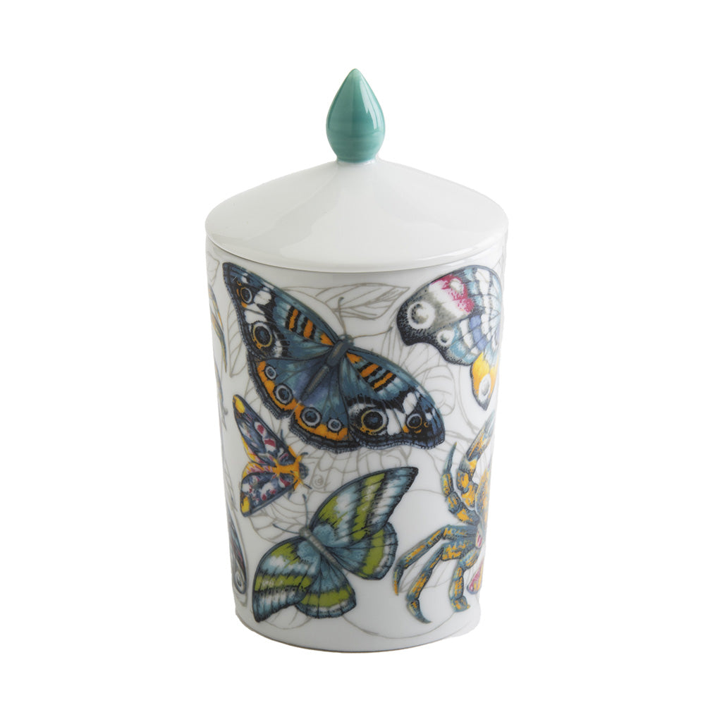 Porcelain jar with colorful butterfly designs and a pointed lid