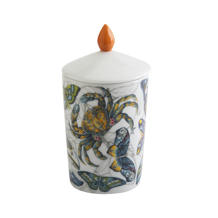 Ceramic jar with colorful spider and butterfly designs and orange lid