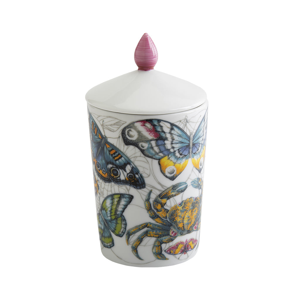 Porcelain jar with colorful butterfly and insect design, white lid with pink knob