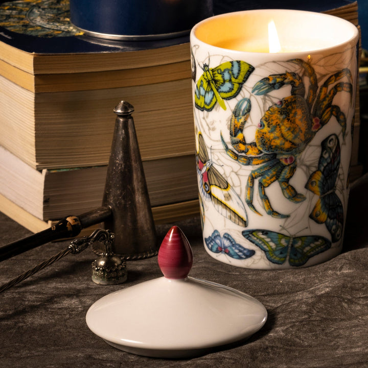 Decorative candle with butterfly and crab design next to books and spinning top