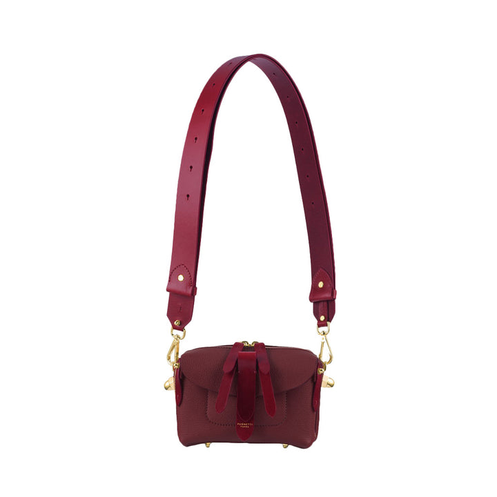 Red leather mini crossbody bag with adjustable strap and gold hardware